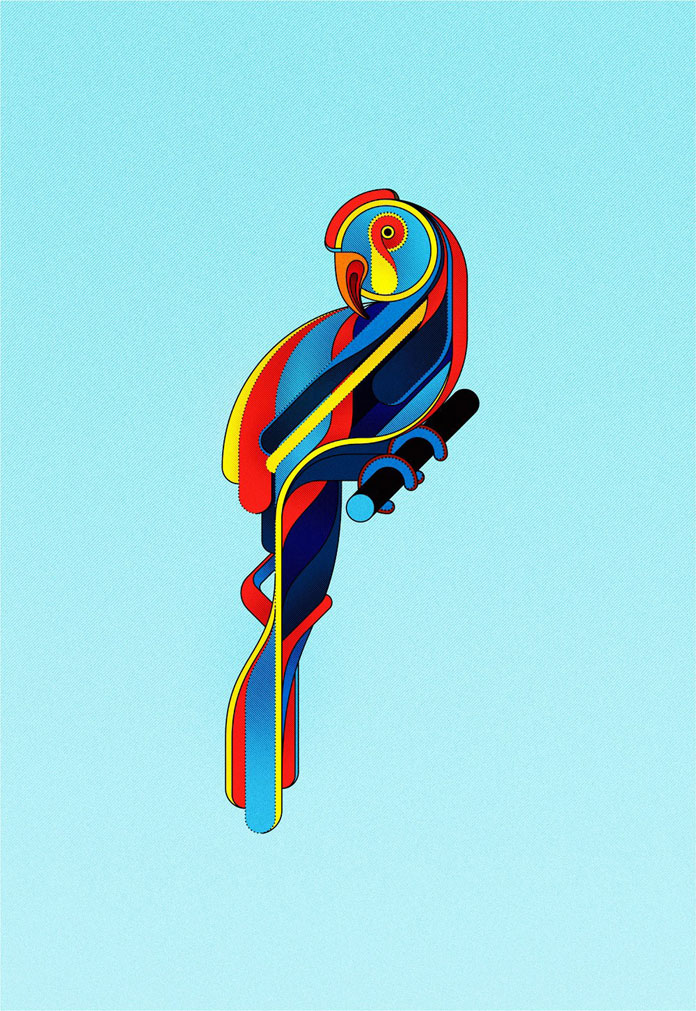 Colorful parrot illustration.