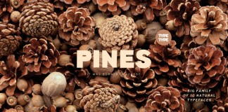 A big sans serif family inspired by natural, accidental details.