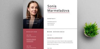 A High-Quality Resume Template with Red Accents by Phillip