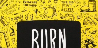 Burn Your Portfolio: Stuff they don't teach you in design school, but should, a book by Michael Janda. This is a WE AND THE COLOR book review