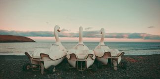 Celia de Coca Photography