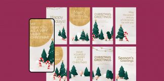 Christmas Greetings Story Templates
