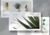 Clean Portfolio Template for Adobe InDesign