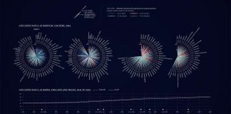 Data Visualization and Information Design Online Course