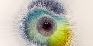 I See You by Rus Khasanov.