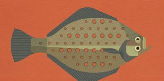 Neptune Fish - fictional branding by Bart De Keyzer