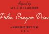 Palm Canyon Drive Font by RetroSupply Co.