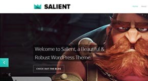 Salient - Responsive Wordpress Portfolio and Blog Template by ThemeNectar