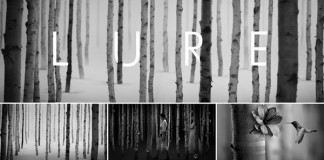 Some visuals from the short film “Lure”, which was directed for fashion designer Ioana Ciolacu.