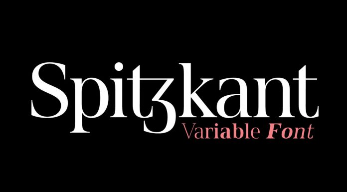 Spitzkant Variable Font by Julien Fincker