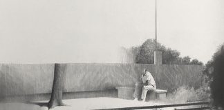 The Tree and Other Drawings by Henrique de França
