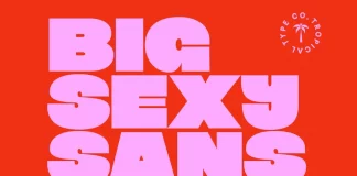 Big Sexy Sans Serif Font by Tropical Type