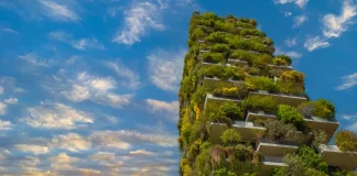 Biophilic Design in Architecture and Interior Design