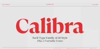 Calibra font family by Great Studio