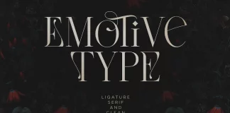 Emotive Type - Font Duo by VP Fonts