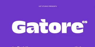Gatore Font by Get Studio