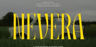 Nevera Vintage Serif Font by Perfectype