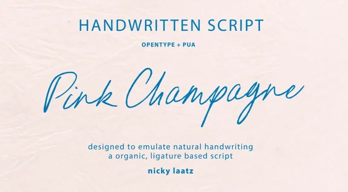 Pink Champagne Script Font by Nicky Laatz
