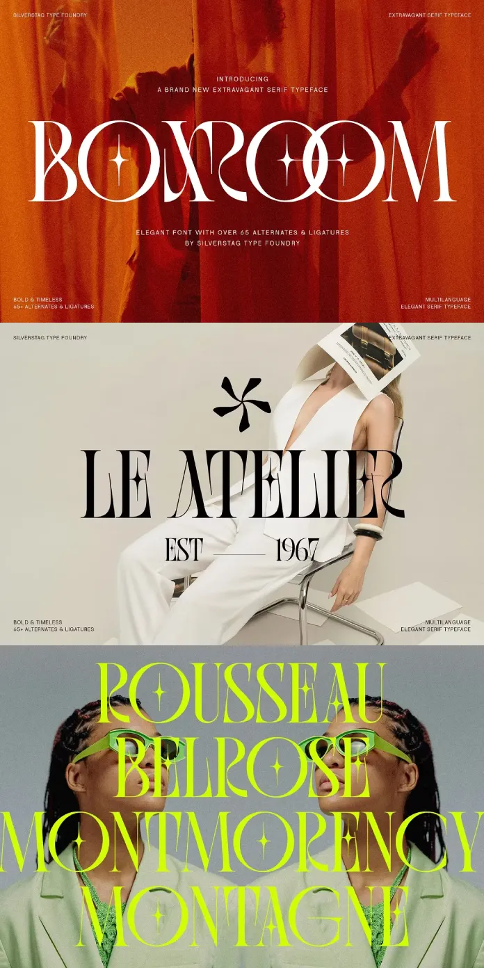 SLTF BOXROOM by SilverStag Type Foundry