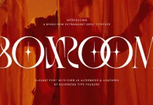 SLTF BOXROOM by SilverStag Type Foundry