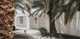 Villa Amonita: A Modern Oasis on the Canary Islands