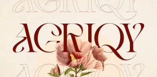 Vintage Agriqy Font by Nirmana Visual